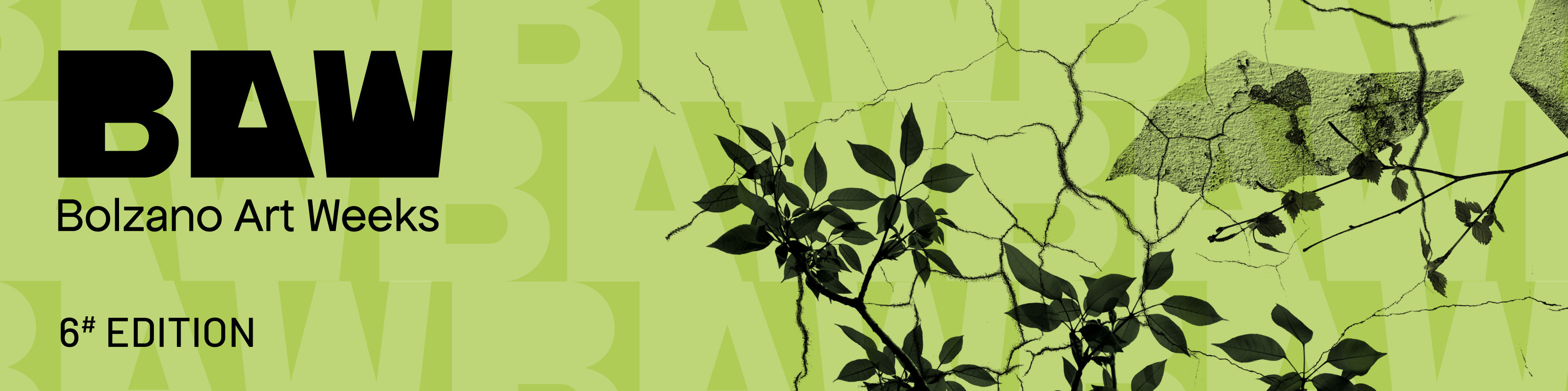 BAW26: Opening di “My life is compiled of these little acts”